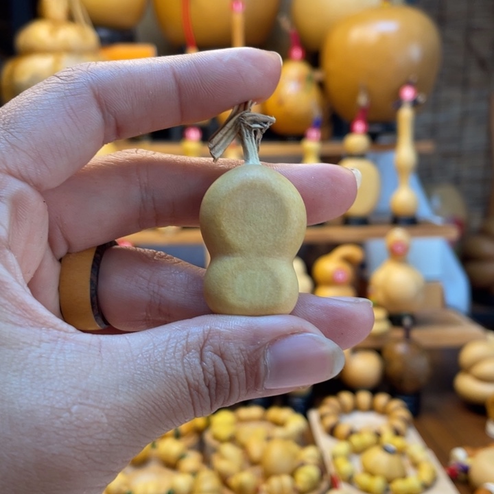 ****飞天然葫芦自然生长