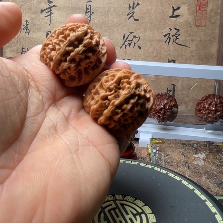 今日拍品推荐189号