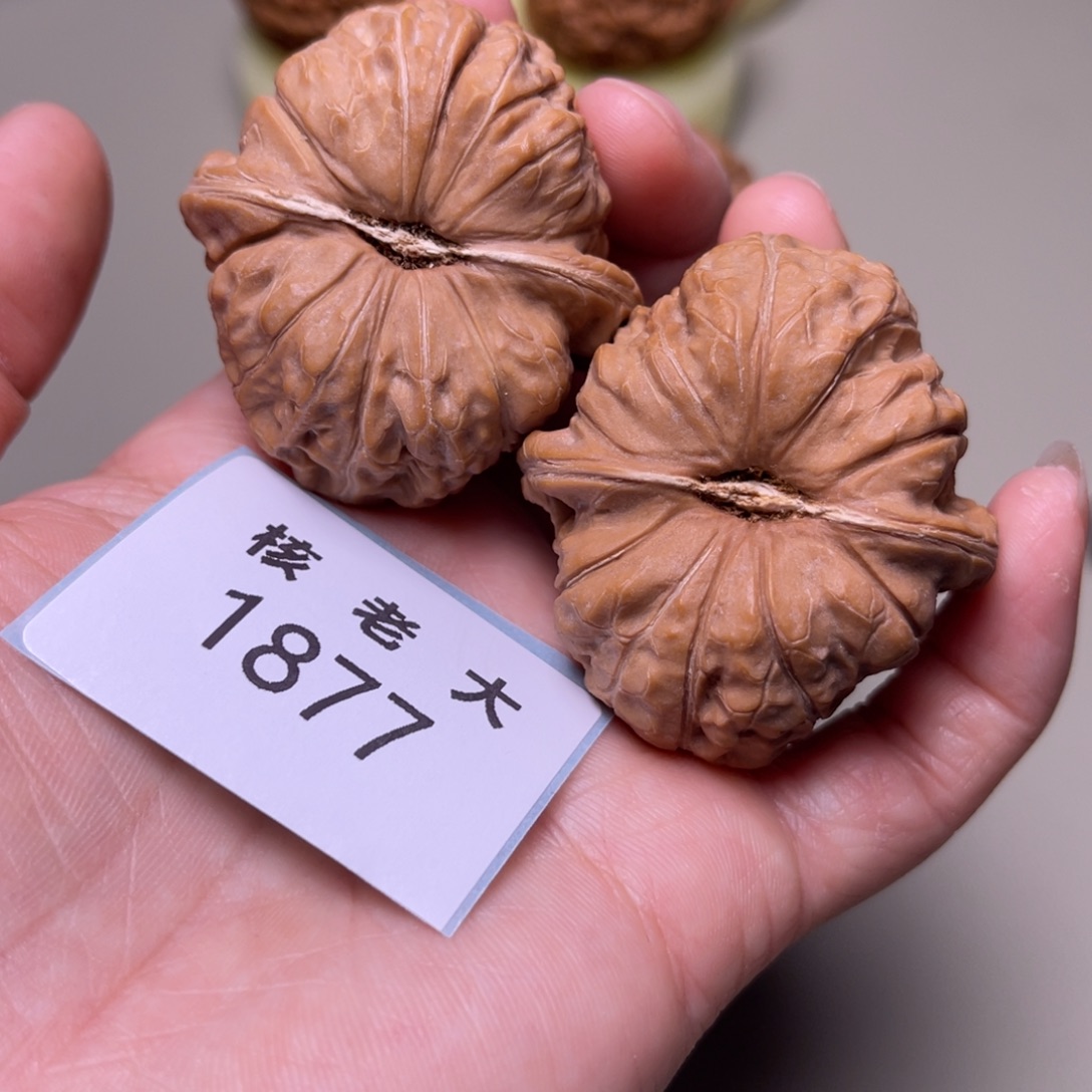 文玩核桃把件南瓜墩42 1877