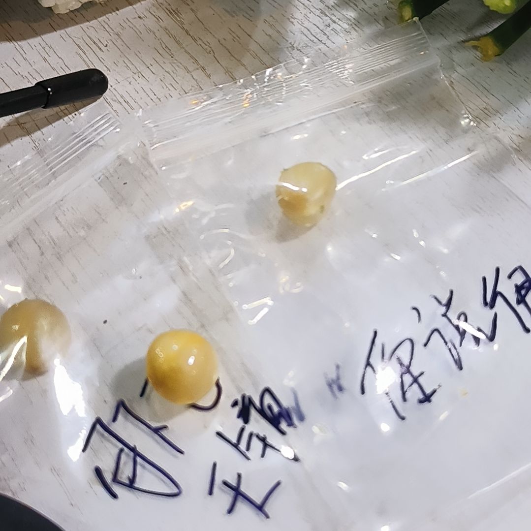 无花朵呼我摸摸摸