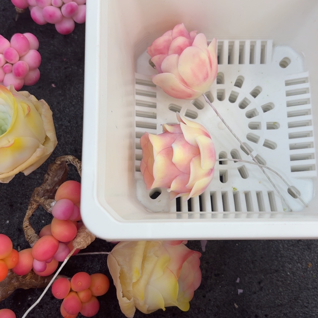 树脂713号哦哦哦哦哦哦哦