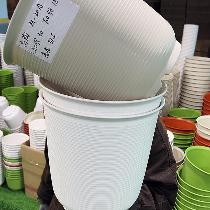 正品高陶口30高31米色无托3只