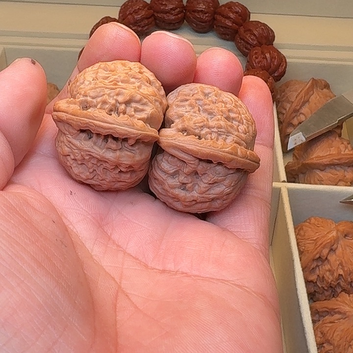 全品毕业级小球白尺寸38精配