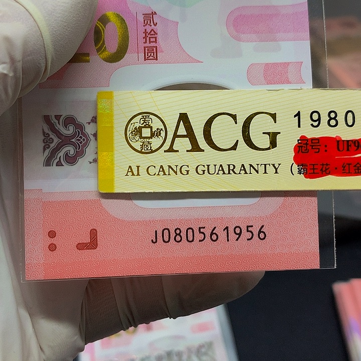 一张一张一张一张一张一张