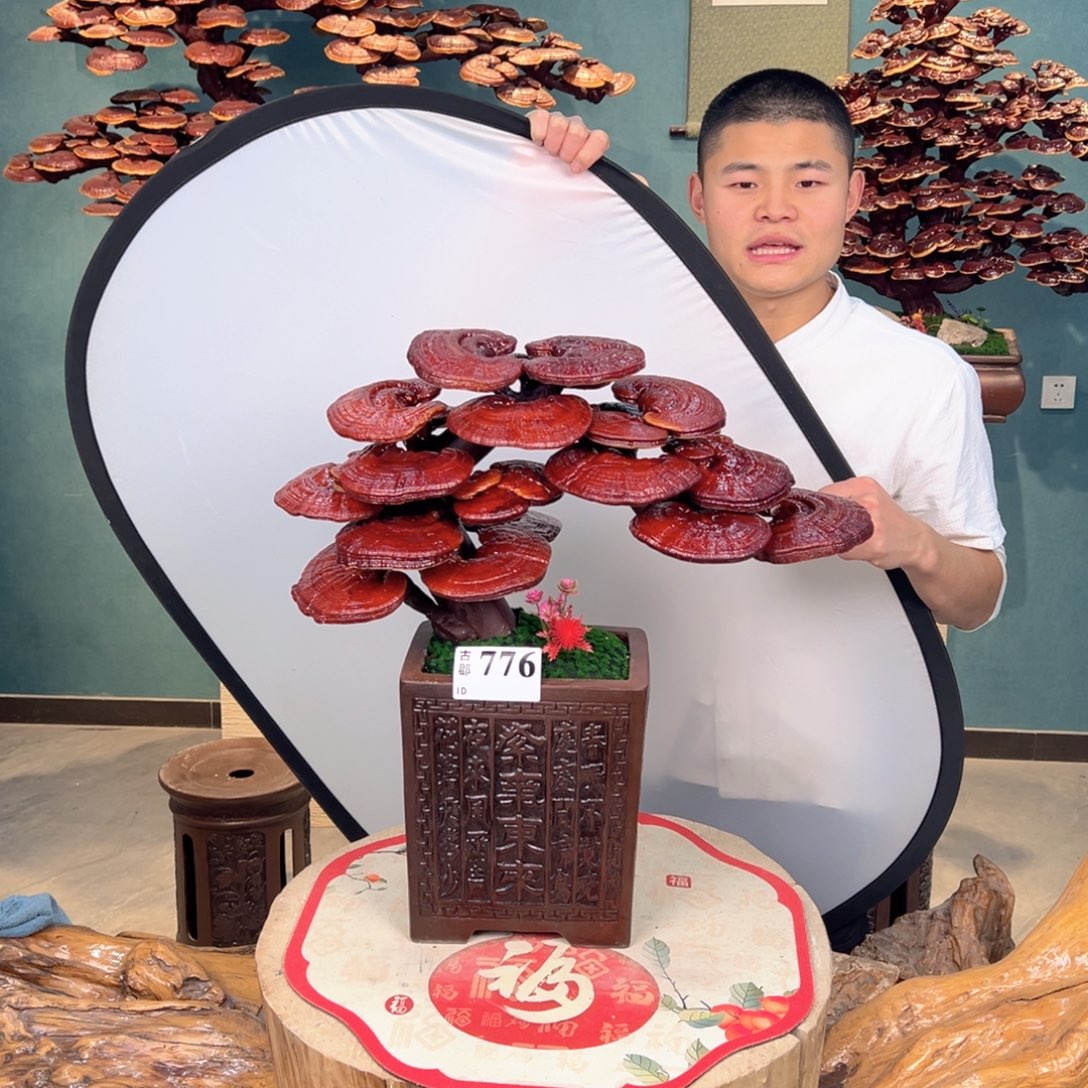 无花朵88888888888888