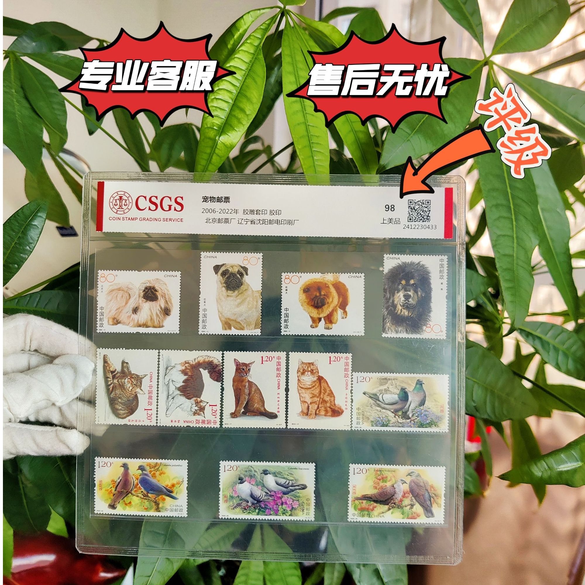 宠物邮票系列套装