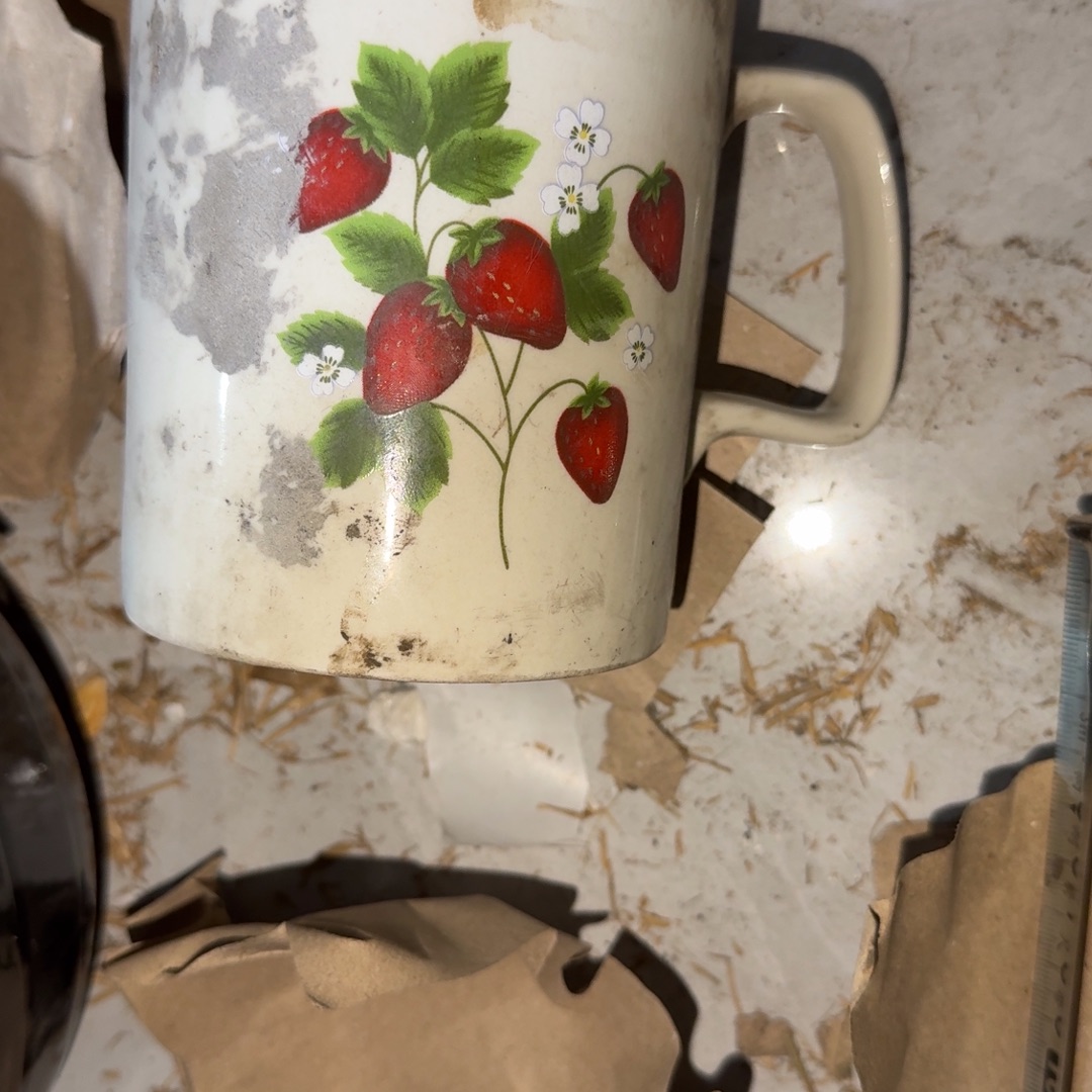 娜****茶盏这么久没有来找她啊