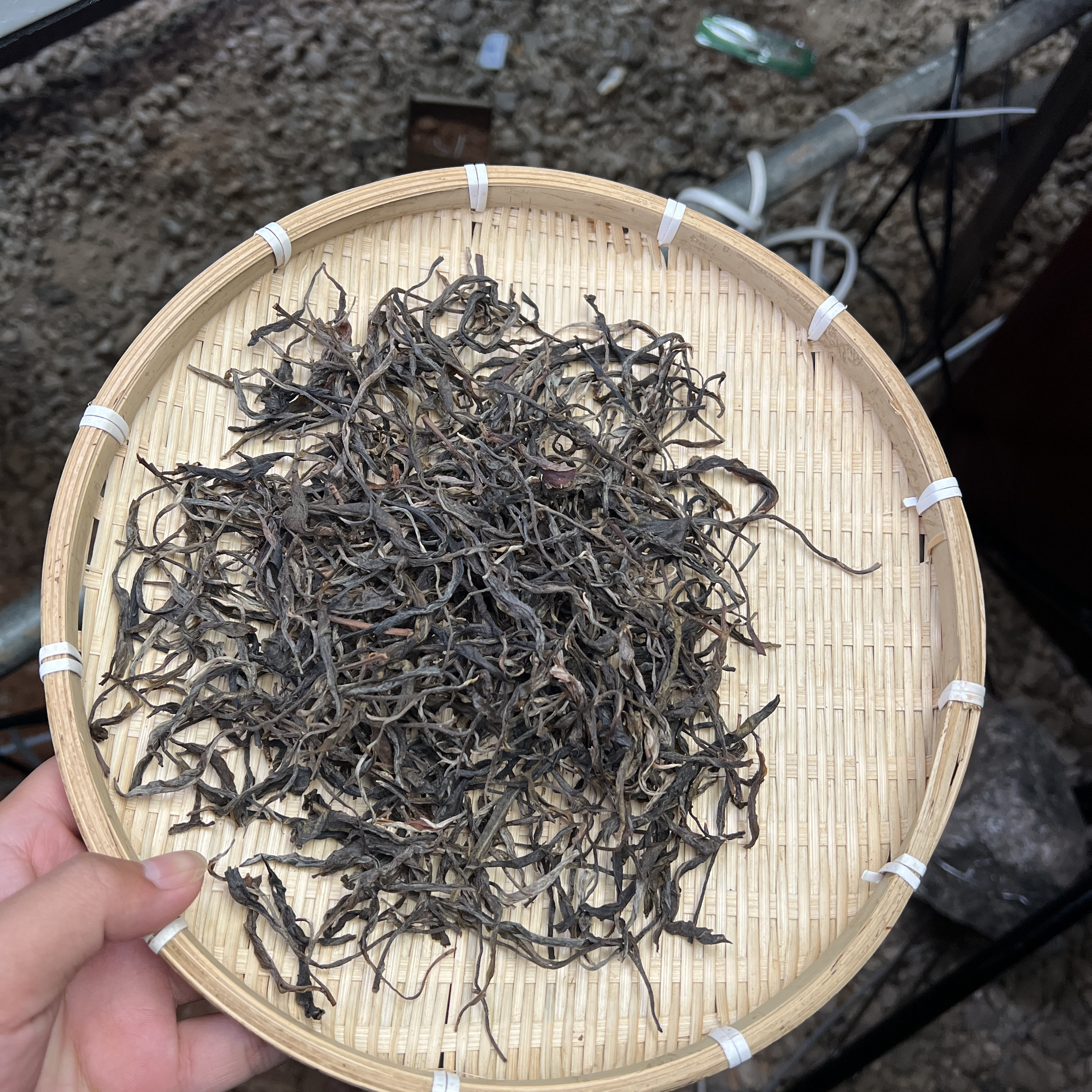 （2号茶农）广别/生茶/2024年/高杆/散料  6-24