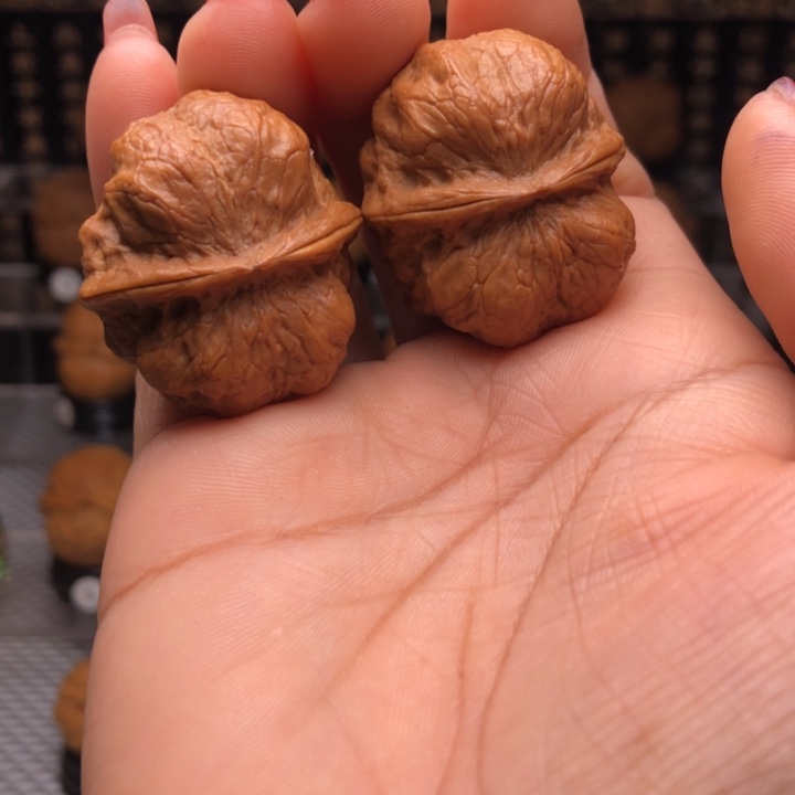 橄榄核吊坠2玉龙金蟾