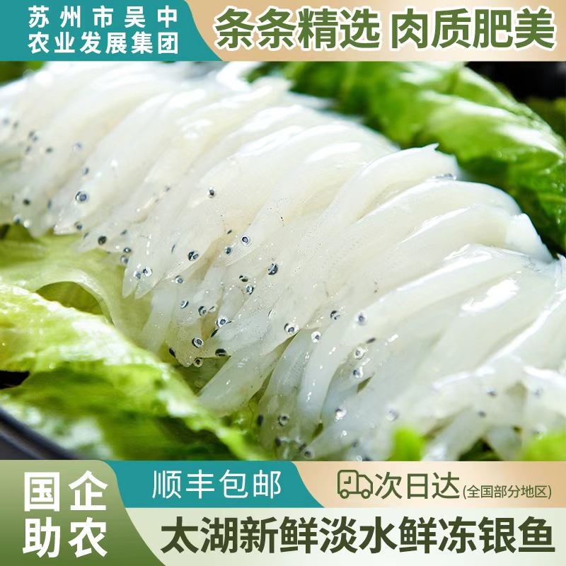 新鲜淡水银鱼湖鲜细嫩无刺无鳞高蛋白高营养适合宝宝辅食一斤