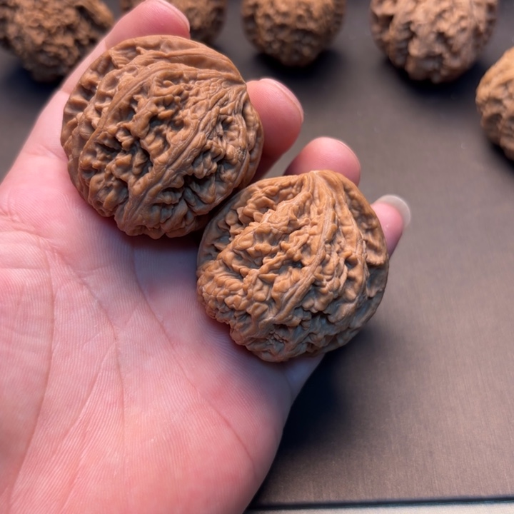 青***笙大叶紫檀（黑酸枝木类）粗筋