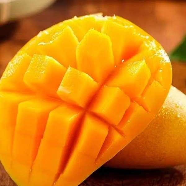 尚果途台芒当季新鲜水果台农芒ly