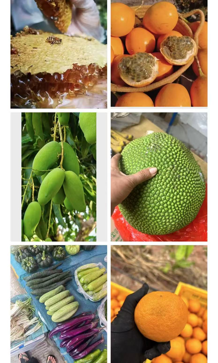 云南高山特产一物一拍