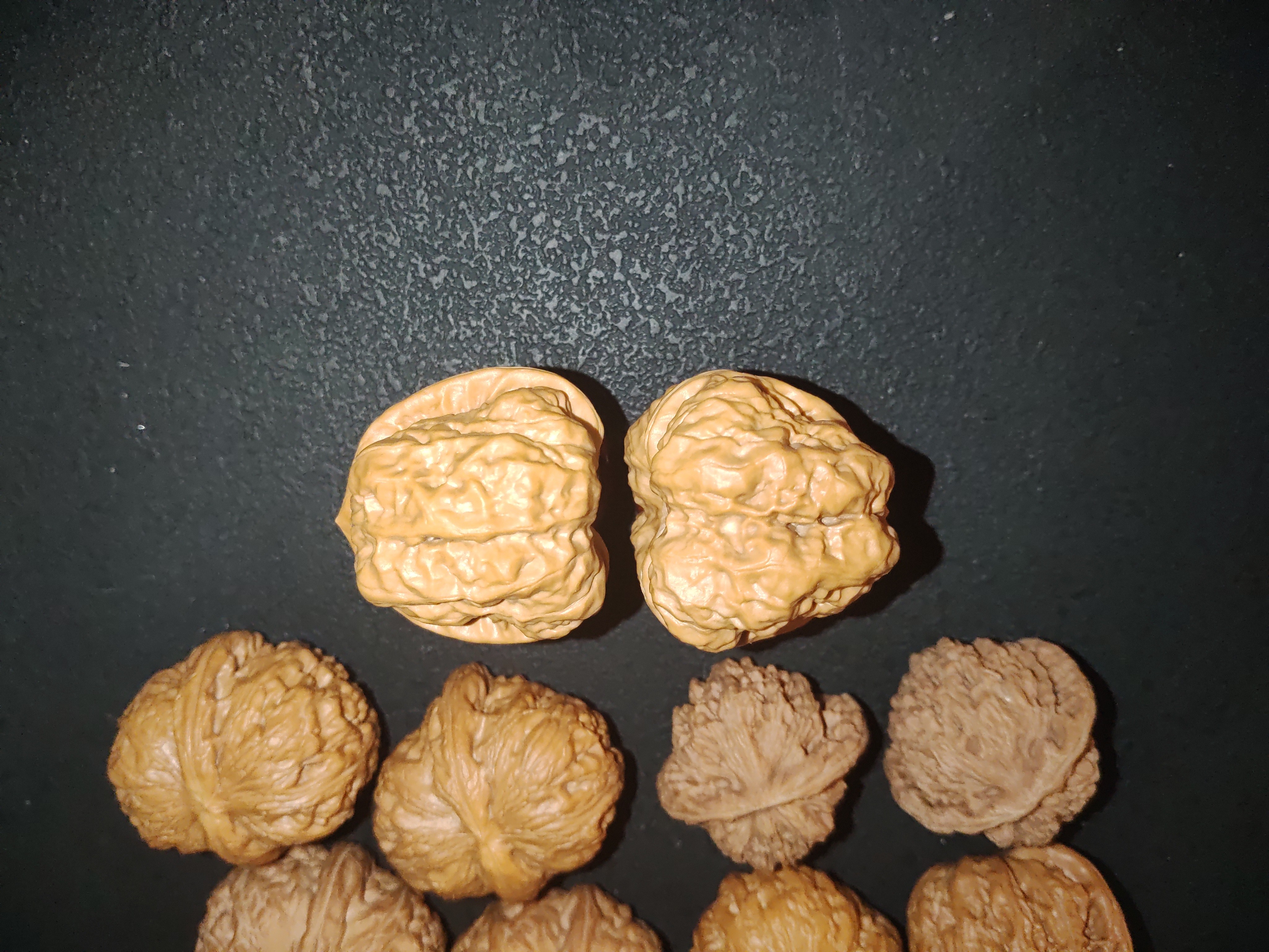 直播间拍链接）随机发四座楼白狮子蛤蟆头元宝铁锤妹妹随机发