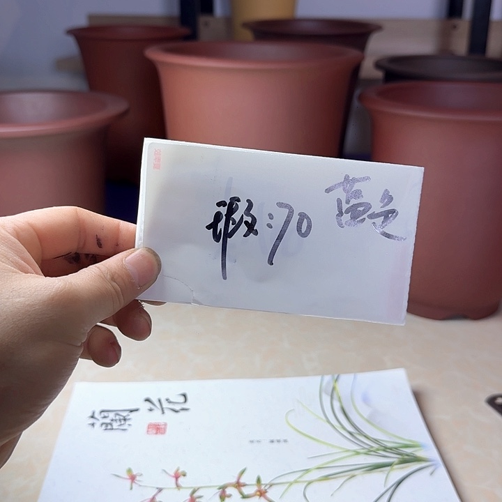 多***言春秋花盆精品兰盆