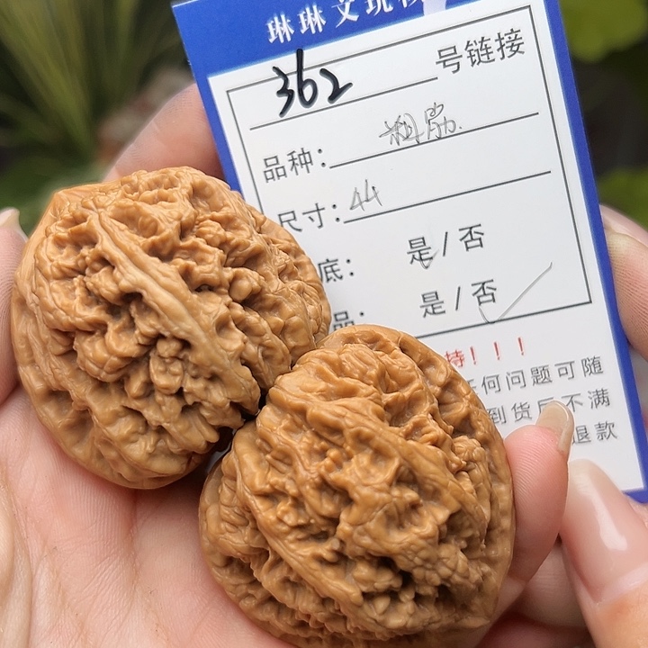 文玩核桃吊坠核桃树362