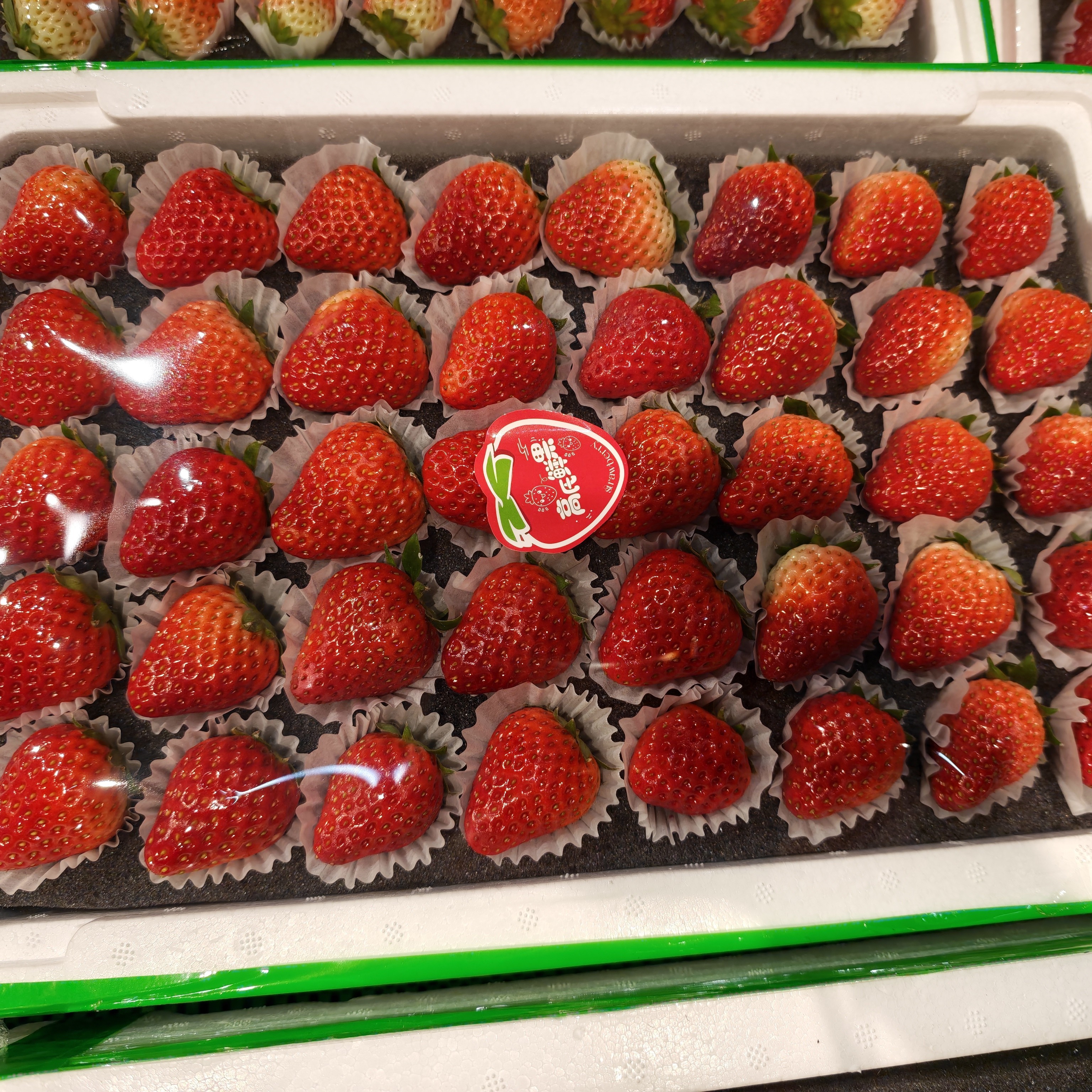 丹东高氏草莓40粒新鲜采摘