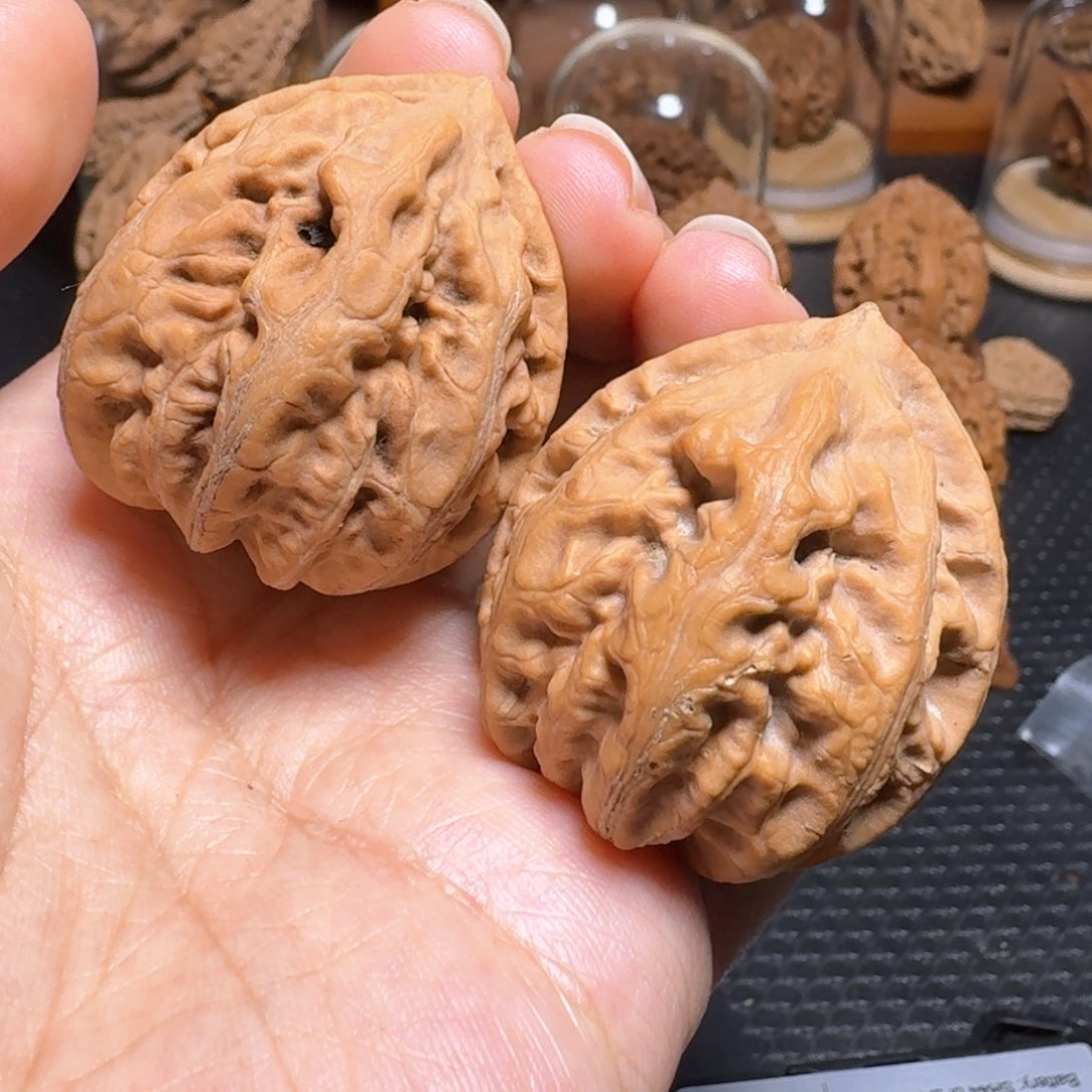 文玩核桃把件蜥蜴纹