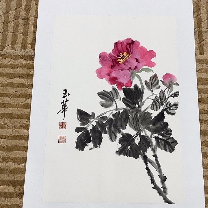 国画花鸟的翅膀是白色和黑色70.45