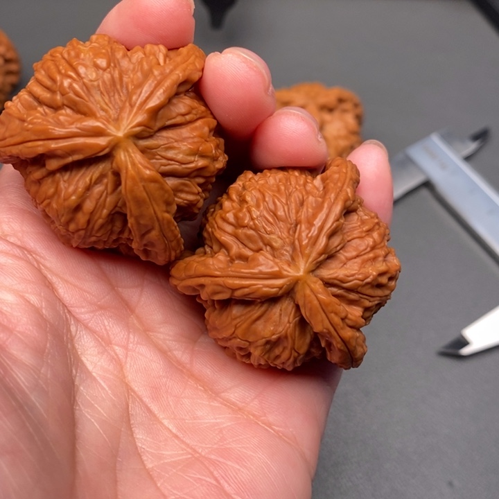 尘***埃木质类核桃核桃核桃