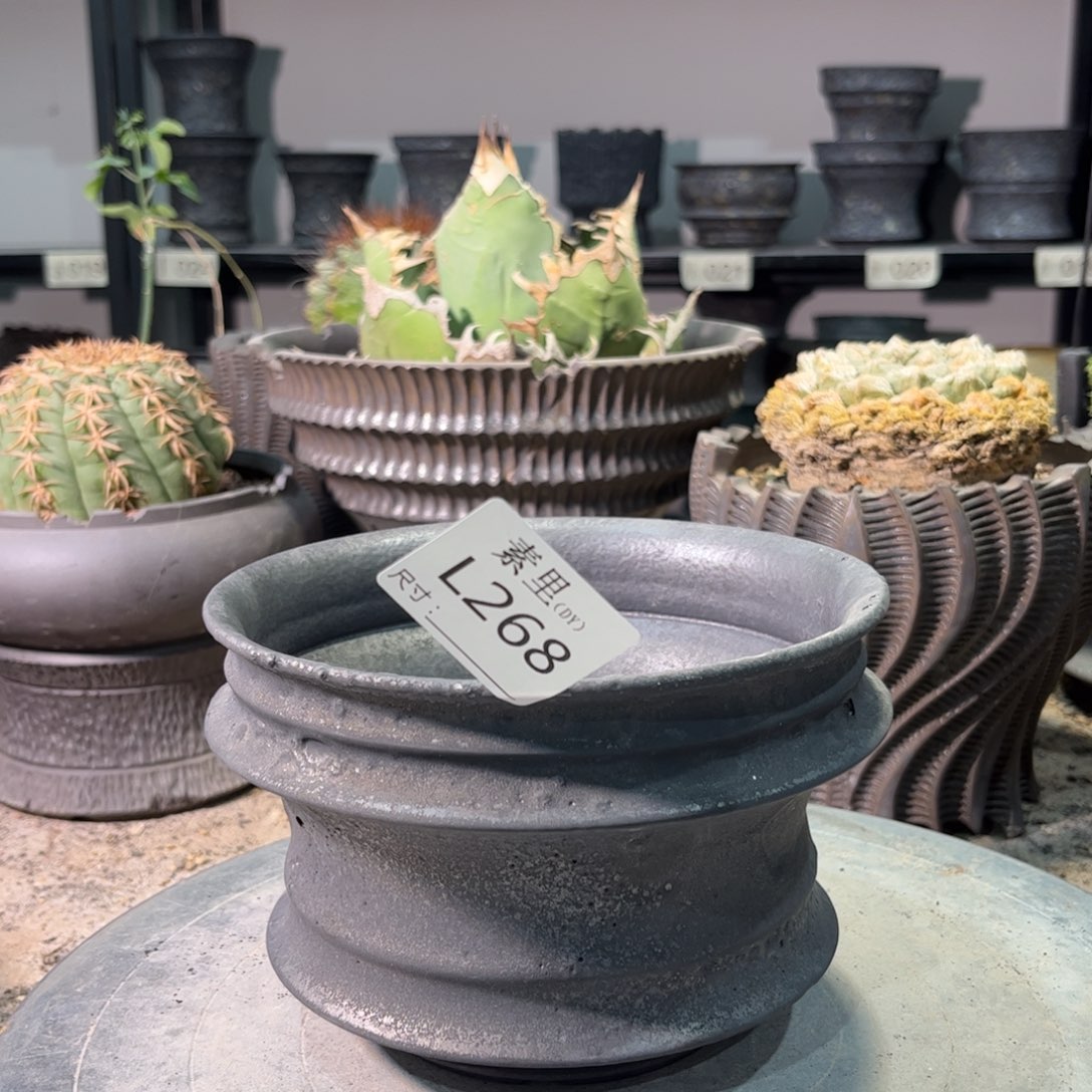 景德镇手工素里内口15.5高10.5