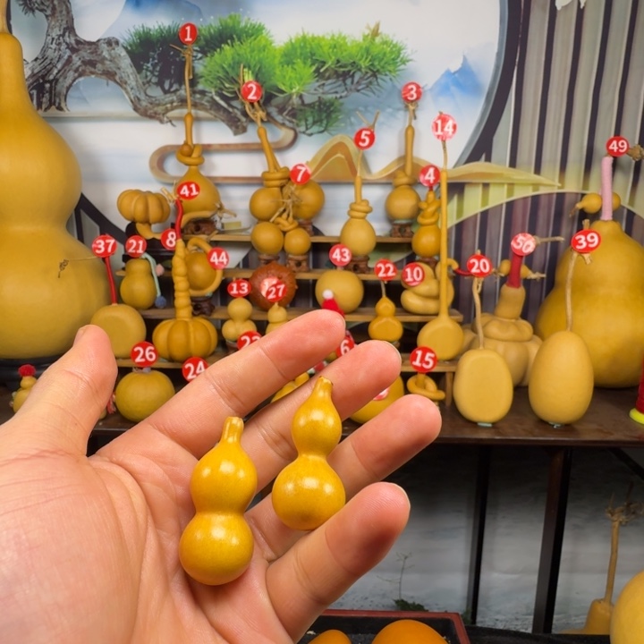 两个全品的小天津嘴