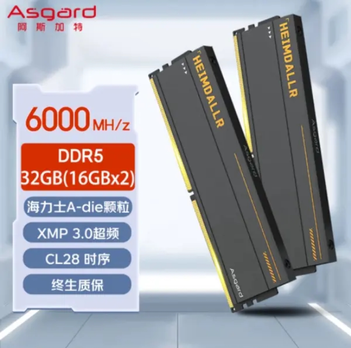 阿斯加特海姆达尔DDR5 32G 6000 C28 6800 C32海力士A-die 内存条