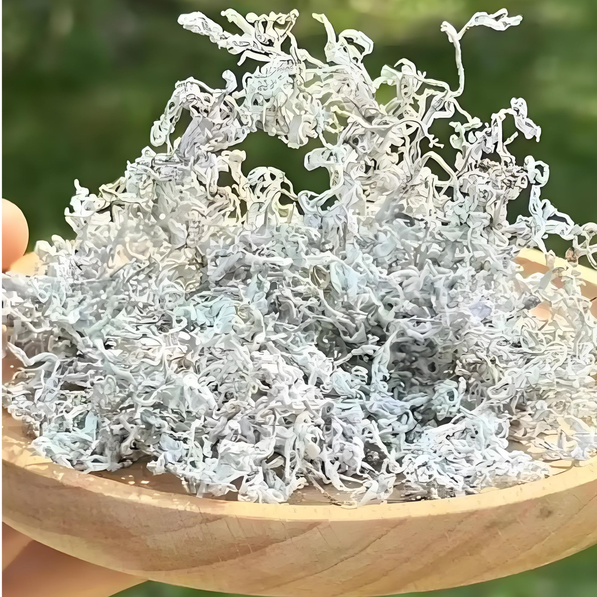 【劉小姐专属】顺丰包邮特级龙须芽尖莓茶正宗湘西高山土家藤茶