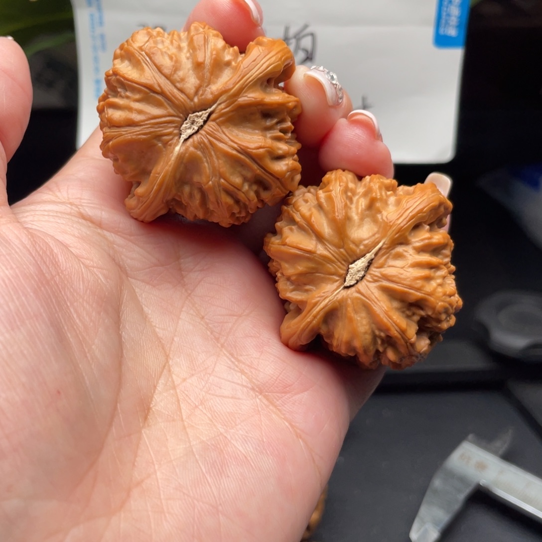 文玩核桃把件白狮子