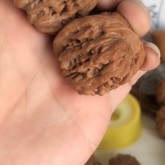 四座楼狮子头98四座楼狮子头