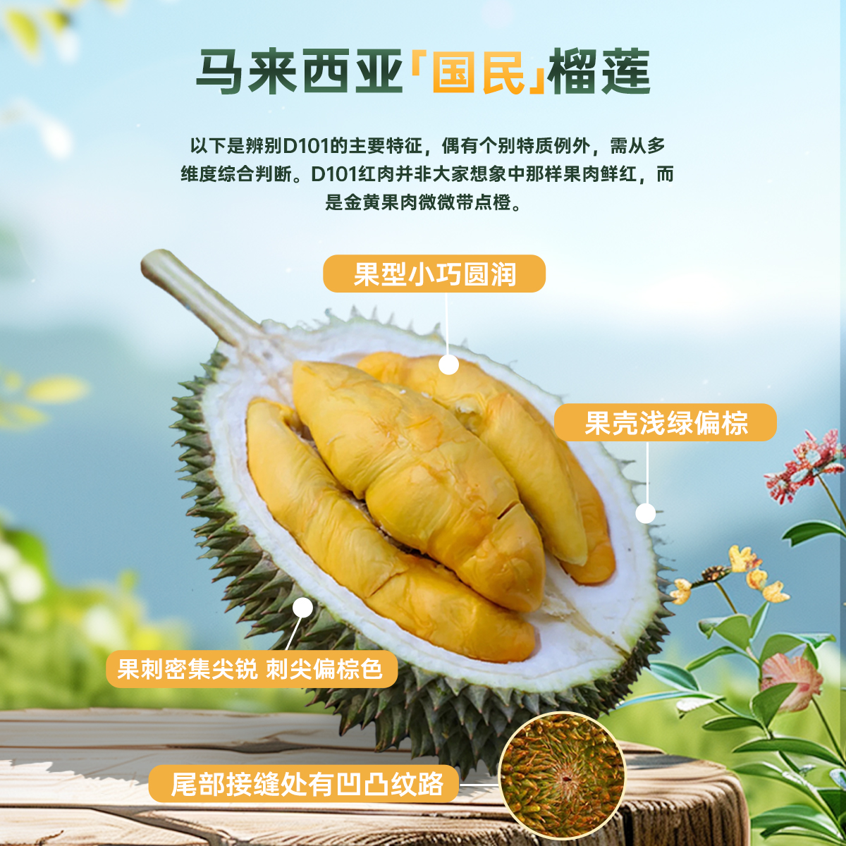 【鲜果 红肉保5房 】柔佛州核心产区榴莲 