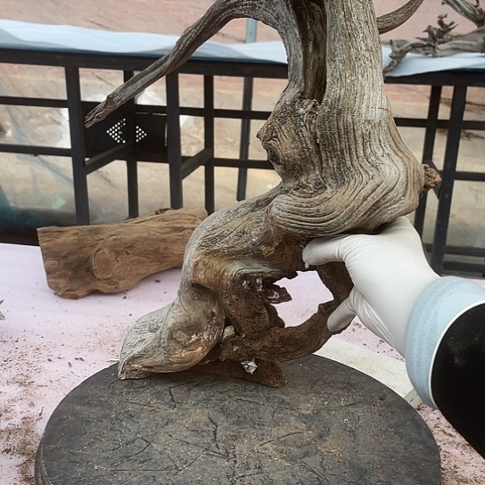 美***乐柏木崖柏崖柏香料