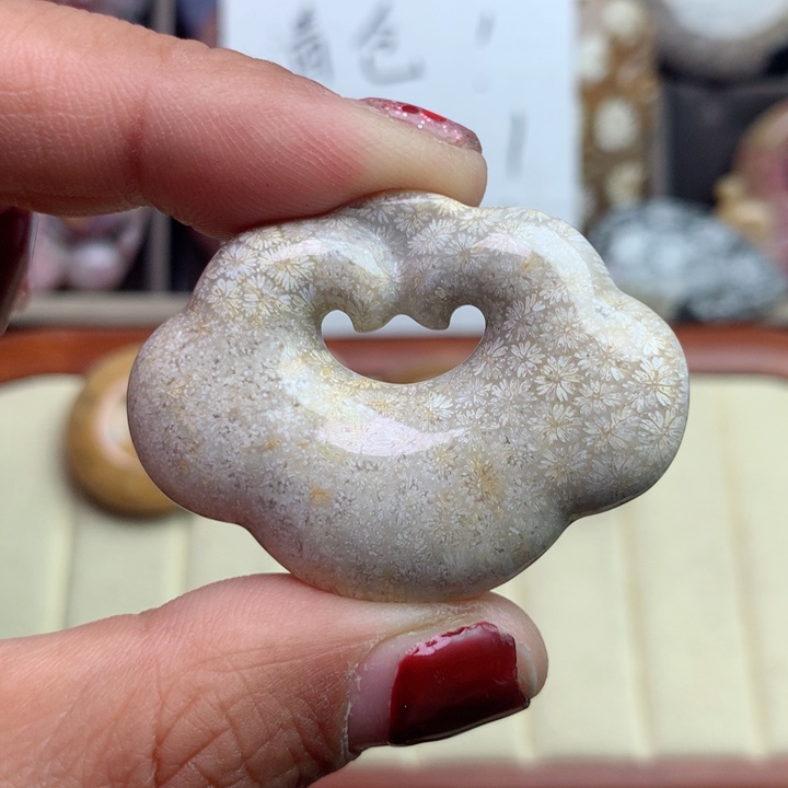 硅化珊瑚（珊瑚玉）颈饰未镶嵌