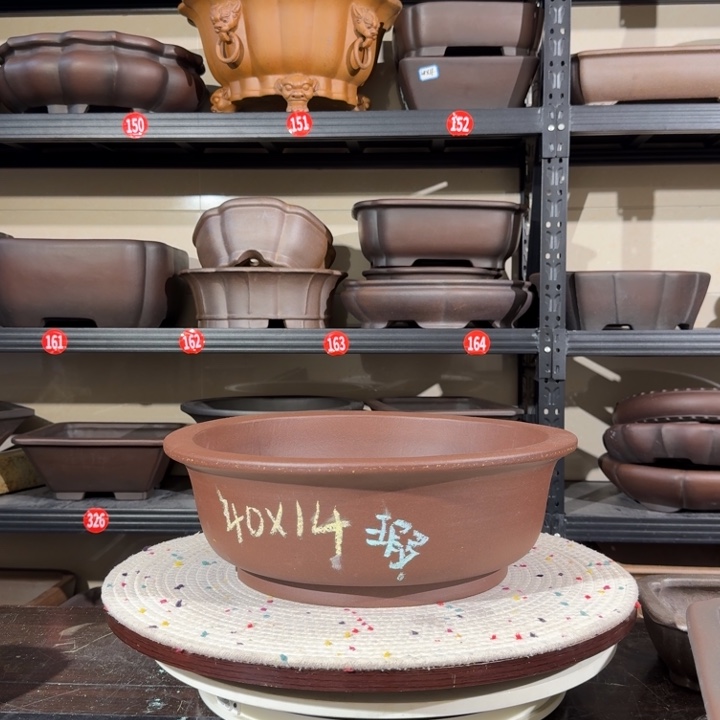 花盆紫砂呜呜我的小