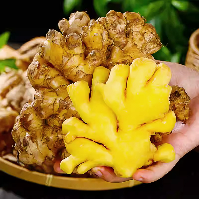 正宗云南小黄姜新鲜现挖香辣十足老姜可做月子姜整箱带泥保鲜发货