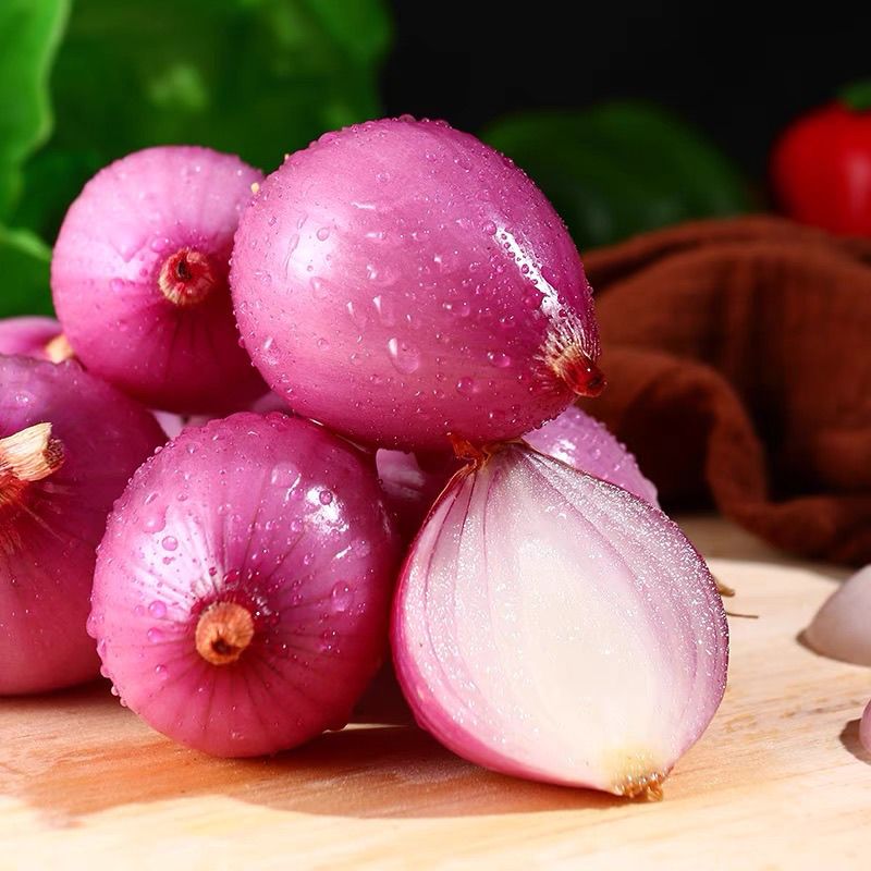 云南高原紫皮洋葱辛辣脆甜现货直发带箱10斤
