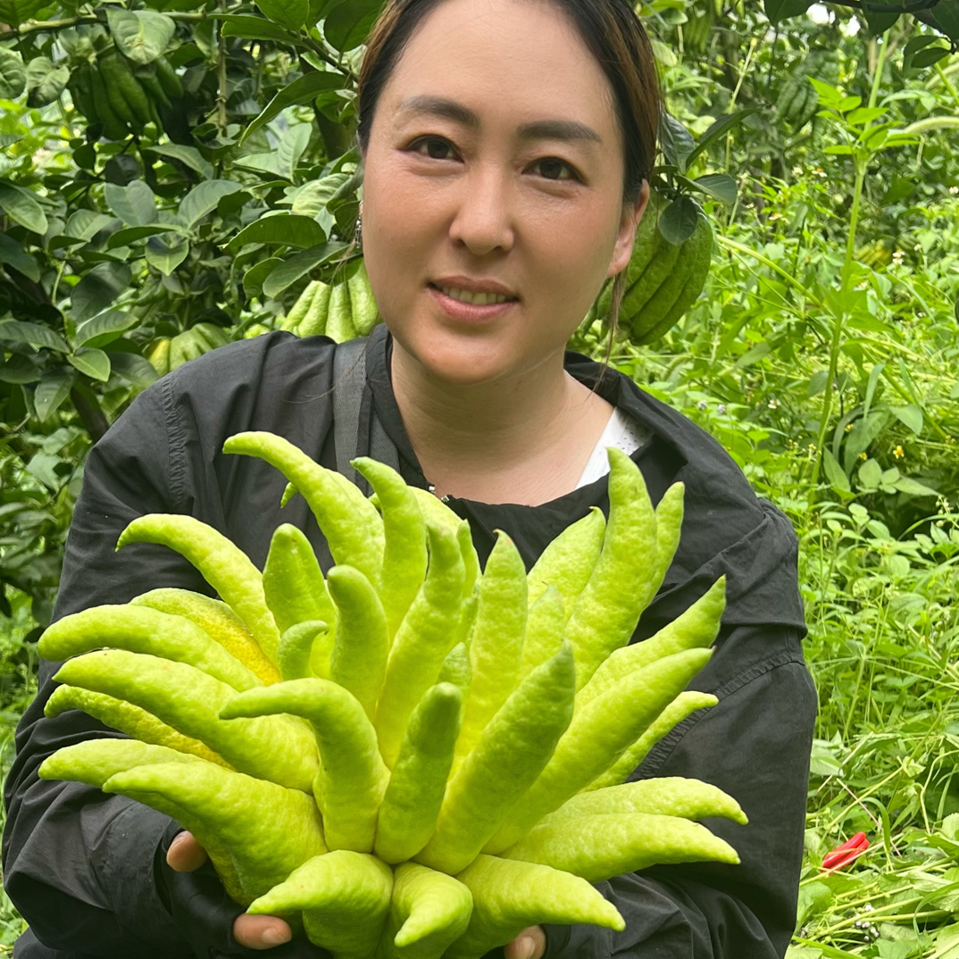 【仁明花卉一物一拍】高山佛手，价值以直播间为主