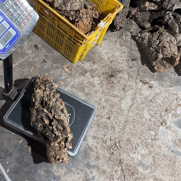 Z***.完全开放一物一拍一物一发