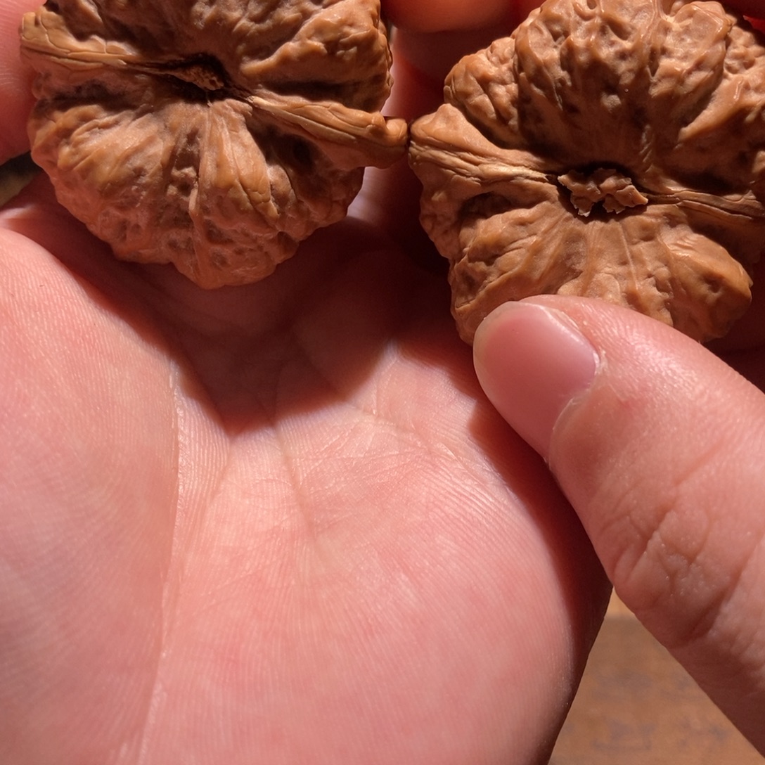 卡****吊坠文玩核桃蛤蟆头D24