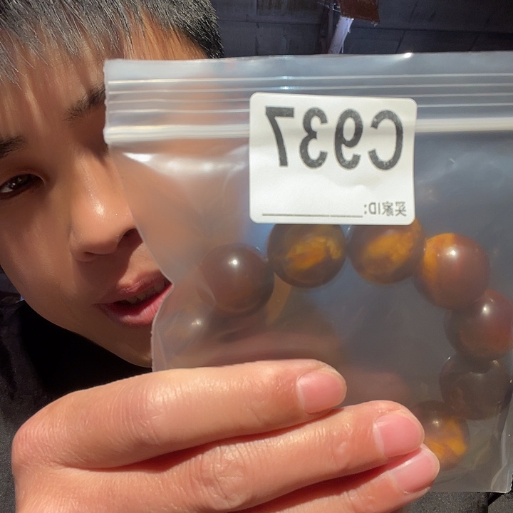 大叶紫檀（黑酸枝木类）937