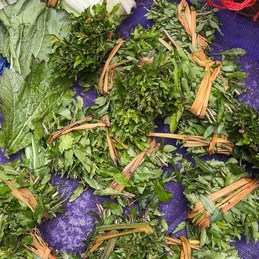 中国大陆三都狗地牙菜5把代购