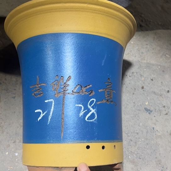紫砂工艺厂……紫砂工艺厂……