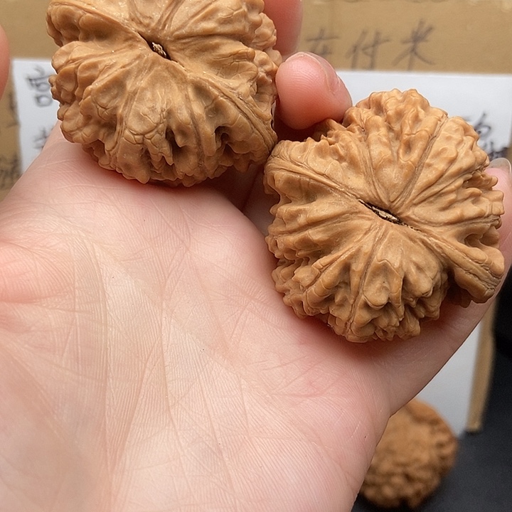 低***䬟大大大大大大大官帽