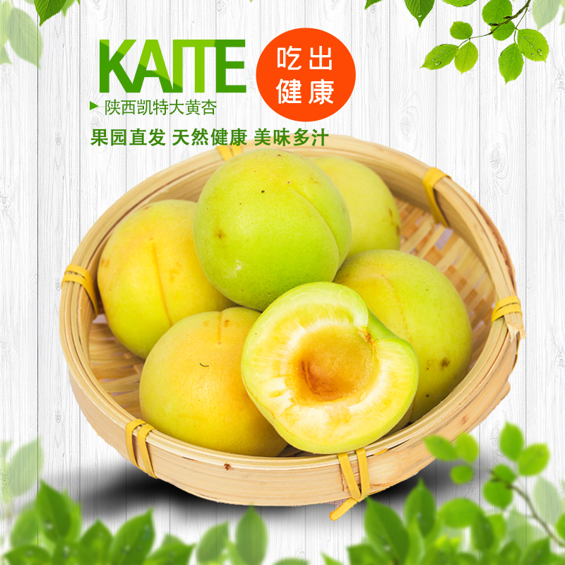 【2025】陕西凯特新鲜杏子现摘金太阳杏子孕妇酸甜应季水果大黄杏