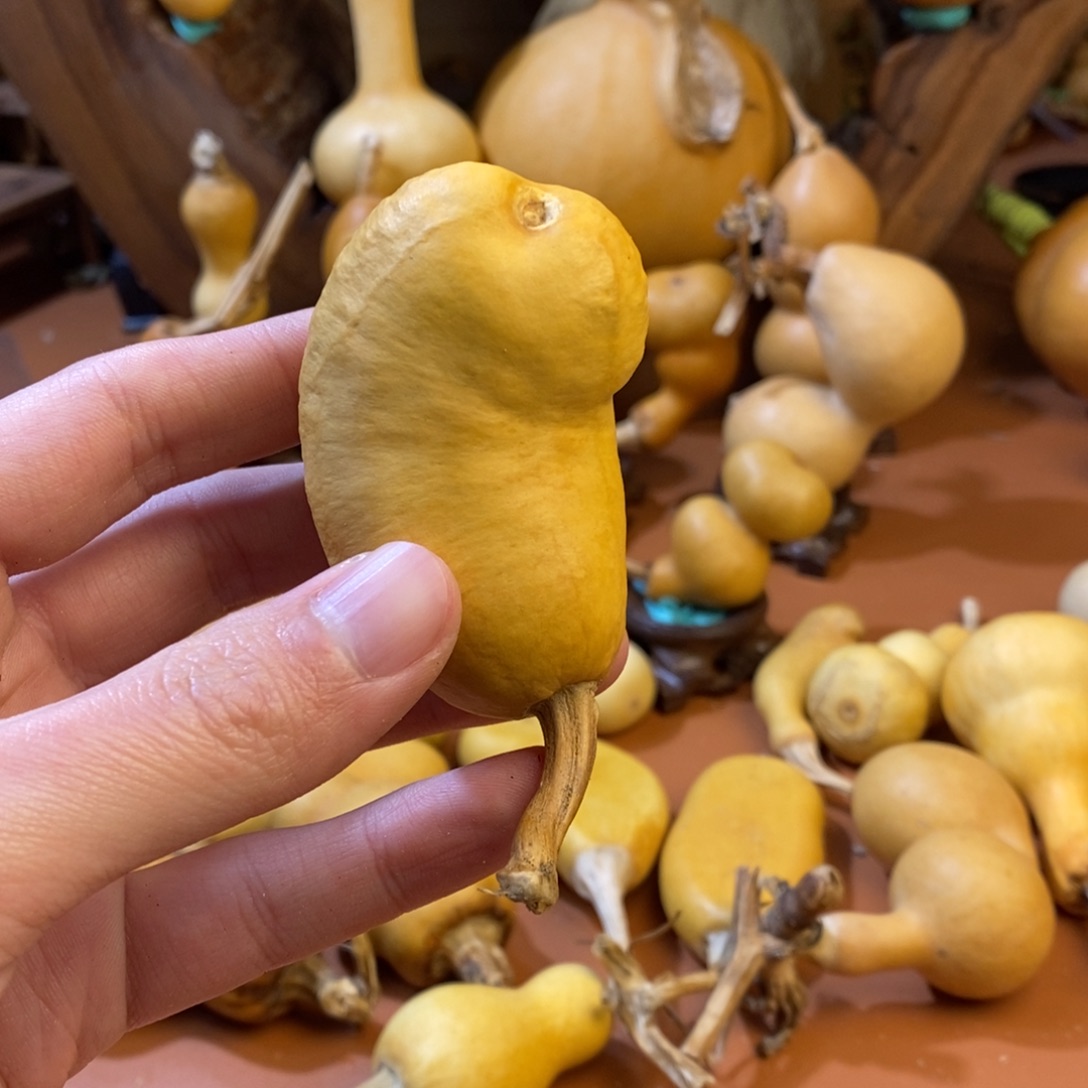 心***晴桂林教练教练教练经理