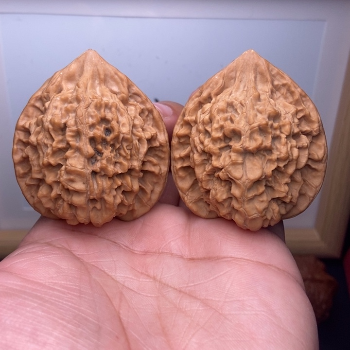 核桃全品大尺官帽