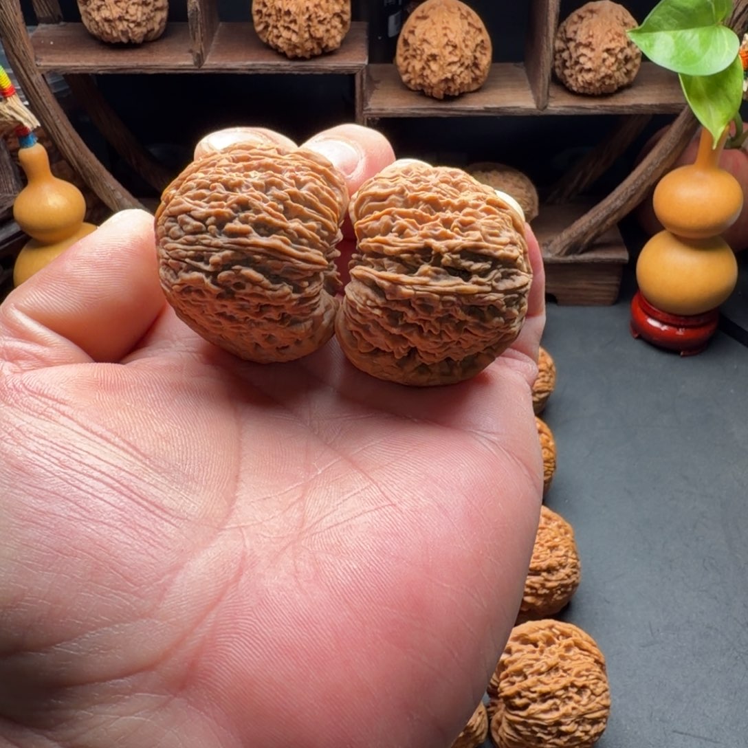 把件文玩核桃南疆石团子凹底蚂蚁拉丝尺寸42