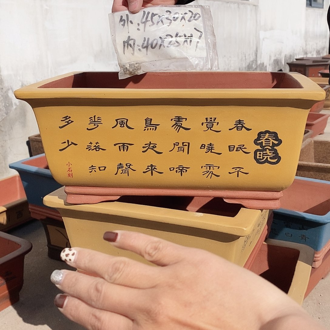 紫砂花盆紫砂花盆
