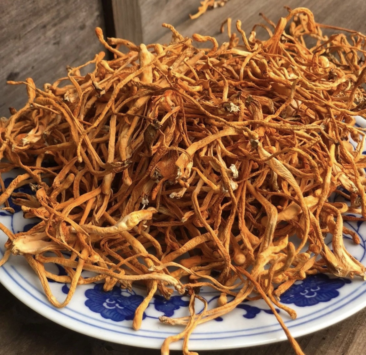 【虫草花】农家干货虫草花炖汤营养丰富