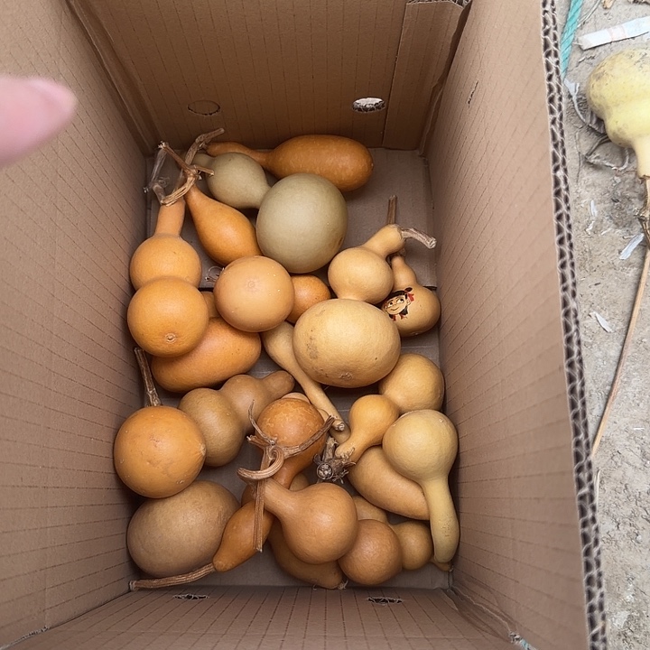 文玩葫芦零元起拍